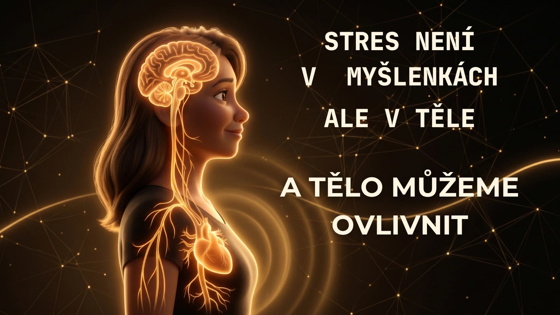 anatomie přepínačů – jak fungují v těle